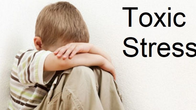 The physical effects of toxic stress on the child brain development stages