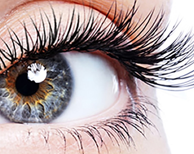 How to grow the eyelashes naturally