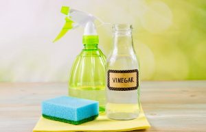does vinegar disinfect