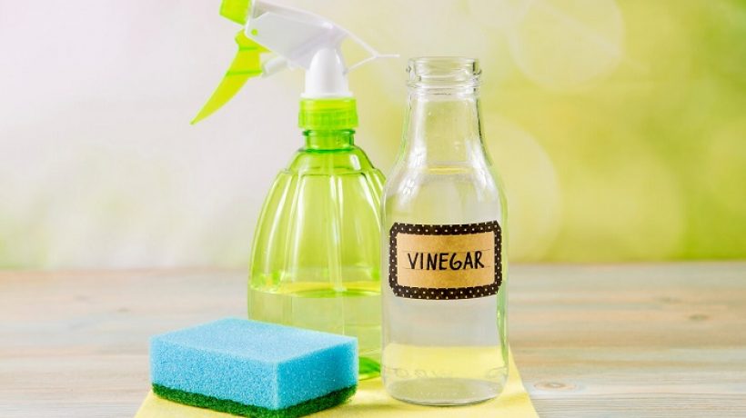 How well does vinegar disinfect? Let’s discover