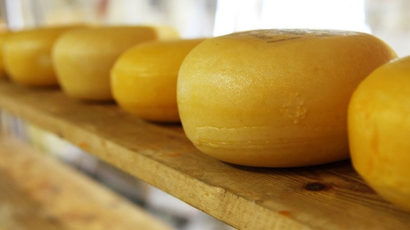 How to Freeze Cheese? Step by Step Procedures