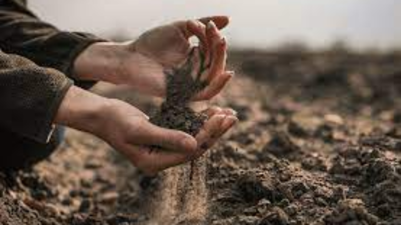 Why soil pH levels are so important