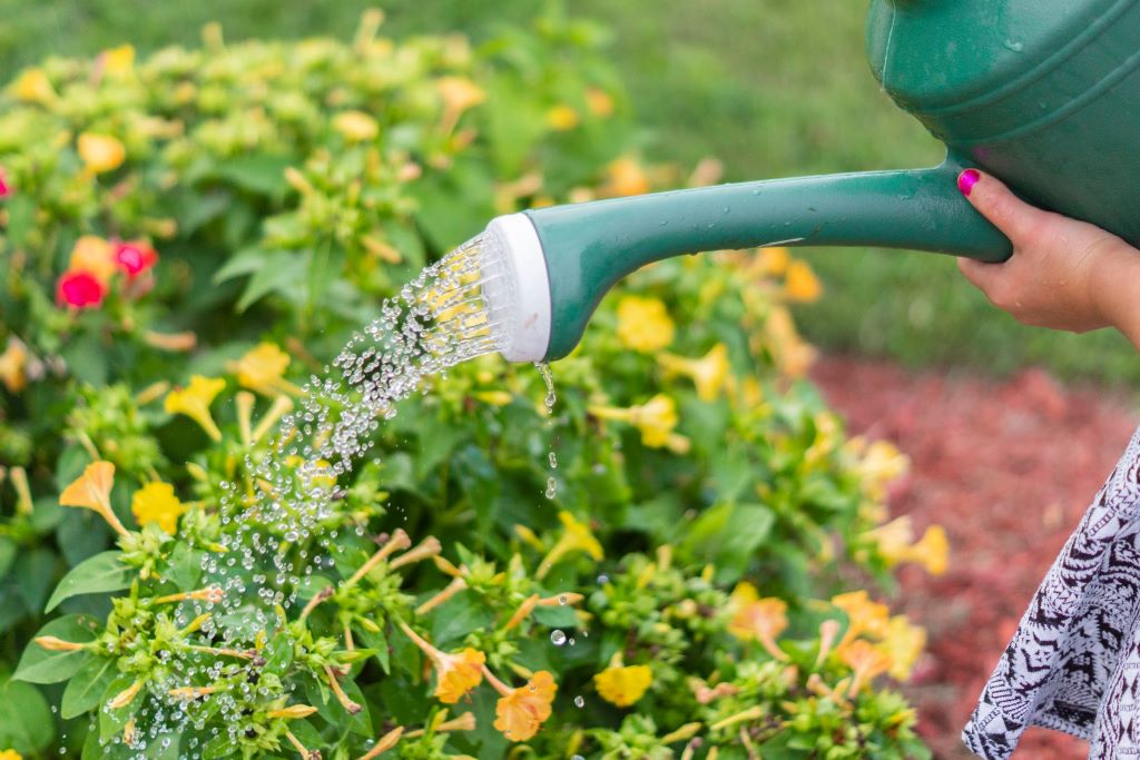 How do you conserve water outdoors?