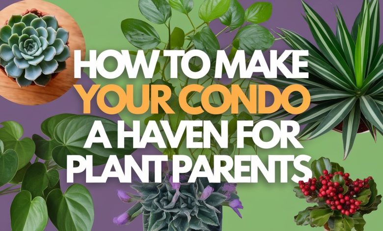 How to decorate condo with plants