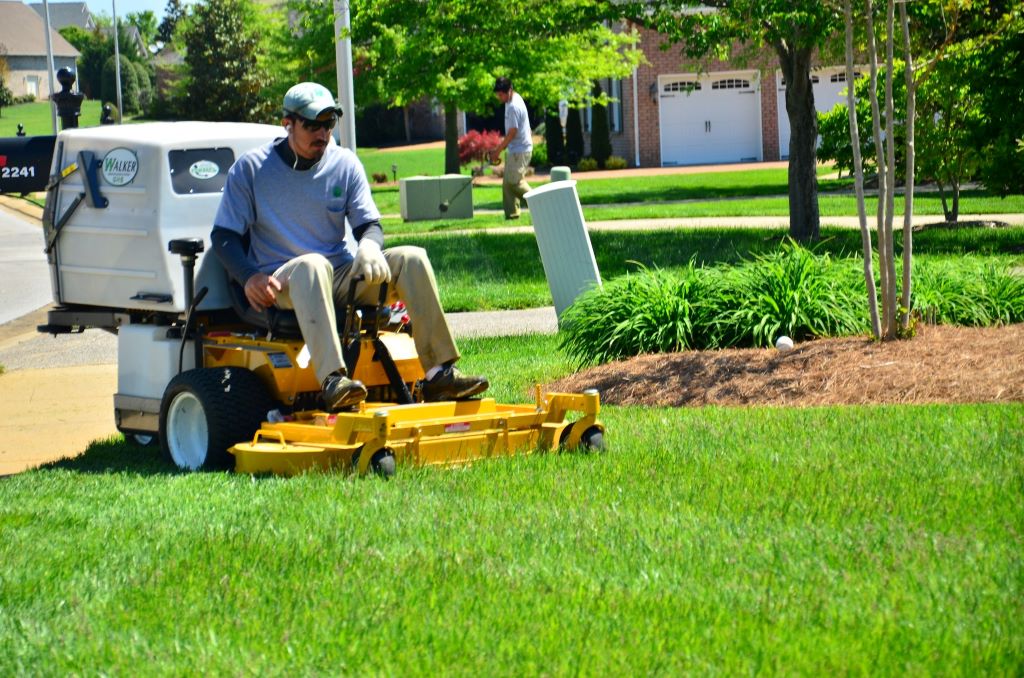Lawn Care Services in Los Angeles: Your Ultimate Guide