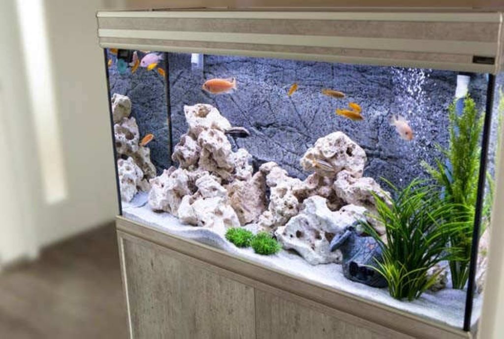 What Equipment Do You Need to Start a Reef Aquarium