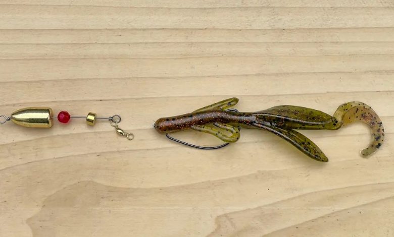 Carolina rig setup with egg sinker weight, bead, swivel, and soft plastic bait on fishing line