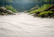 Fine aquarium sand creating a natural aquascape with aquatic plants