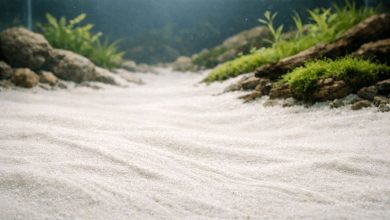 Fine aquarium sand creating a natural aquascape with aquatic plants