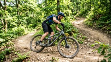 A budget mountain bike parked on a dirt trail in a sunny forest.
