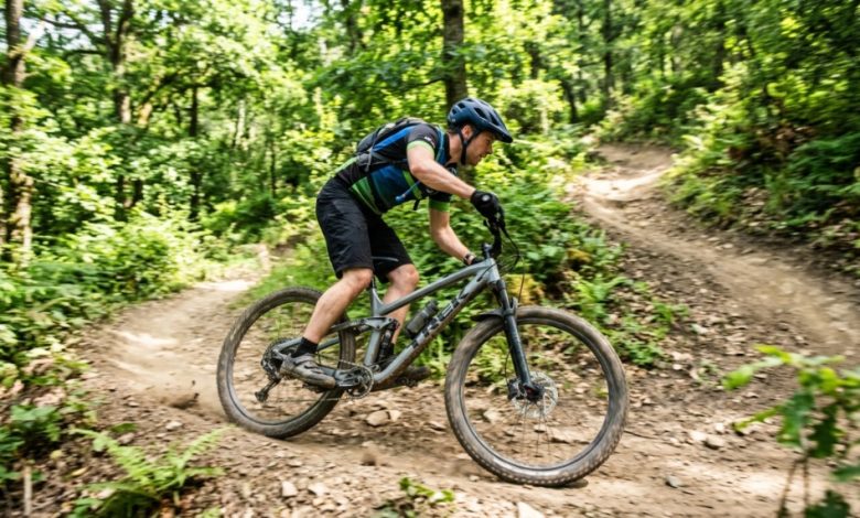 A budget mountain bike parked on a dirt trail in a sunny forest.