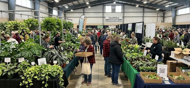Rows of tropical houseplants on vendor tables at a winter plant show in Collinsville