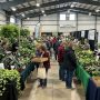 Rows of tropical houseplants on vendor tables at a winter plant show in Collinsville
